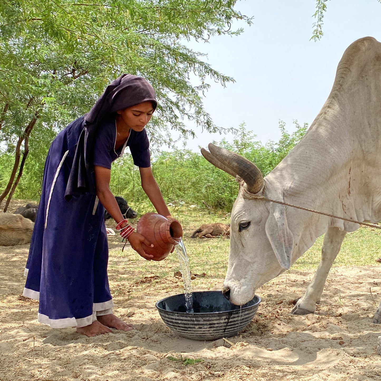 Build a Water Well Directly, Get Instant Updates!