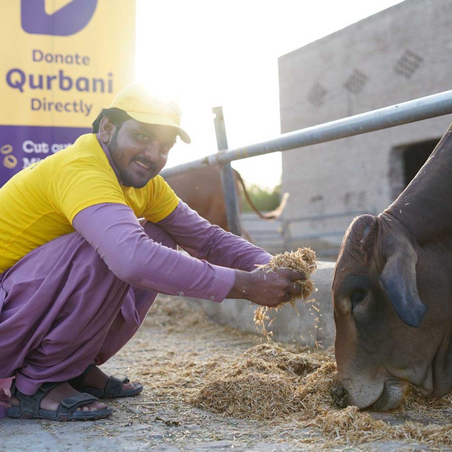 Donate Qurbani Directly - Get Instant Updates!