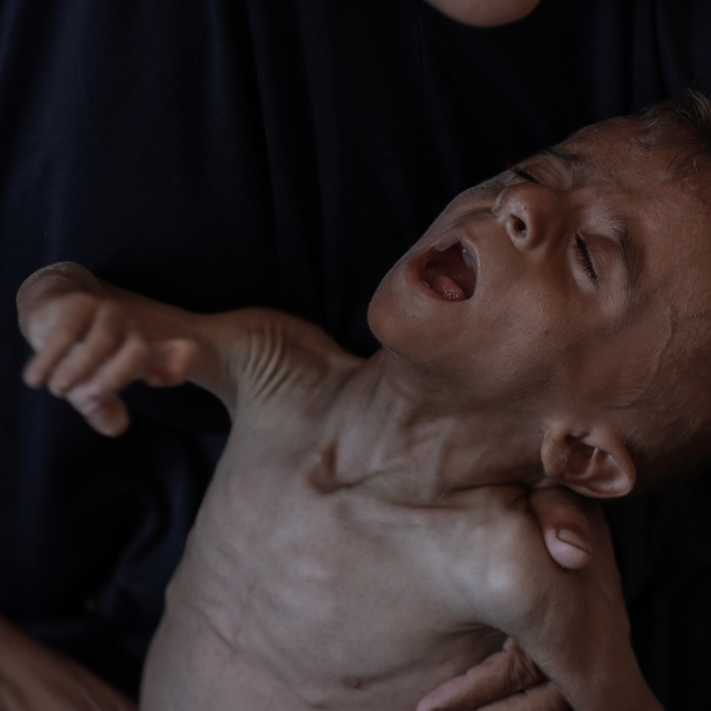 Gaza Monthly Food Appeal