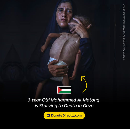 Gaza Monthly Food Appeal