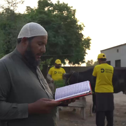 Donate Qurbani Directly - Get Instant Updates!